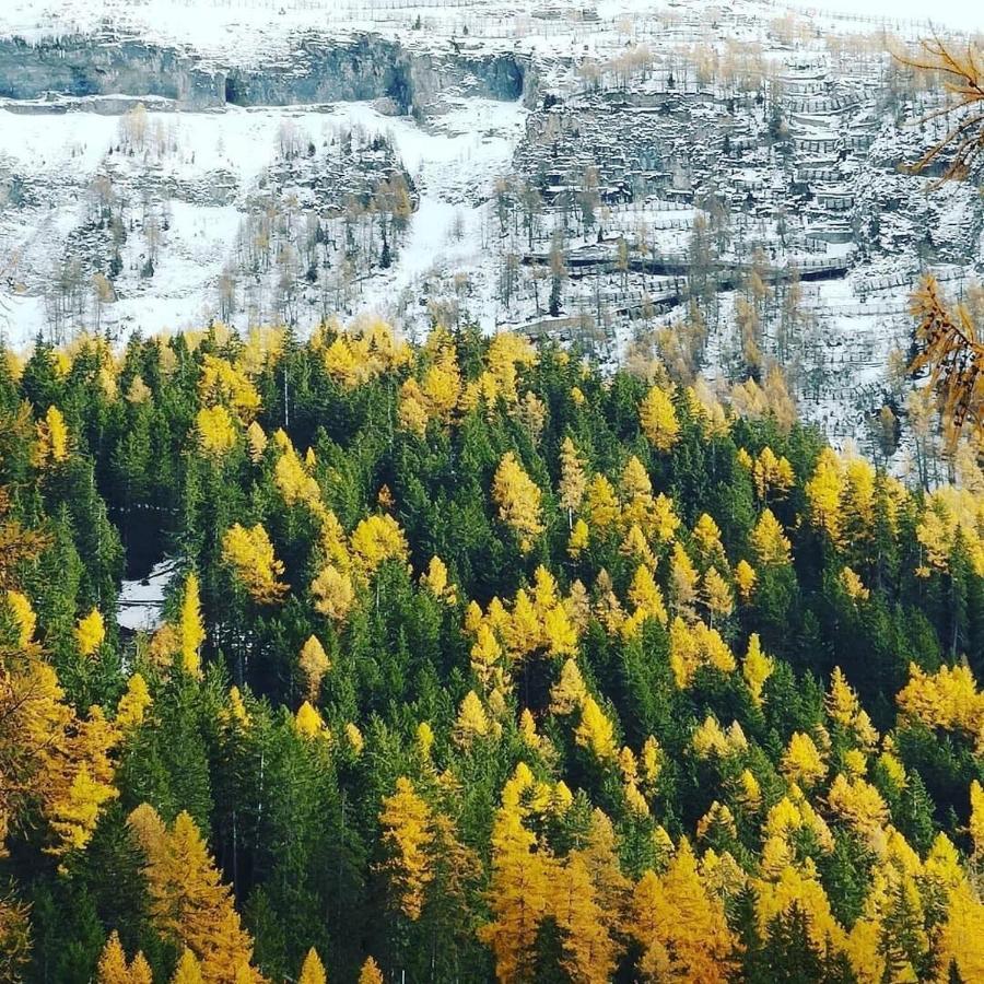 Hotel Regina Terme Leukerbad Eksteriør bilde